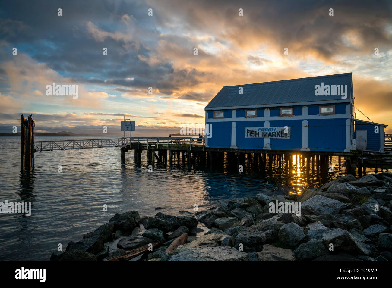 Sidney Downtown, Isola di Vancouver, BC, Canada Foto Stock