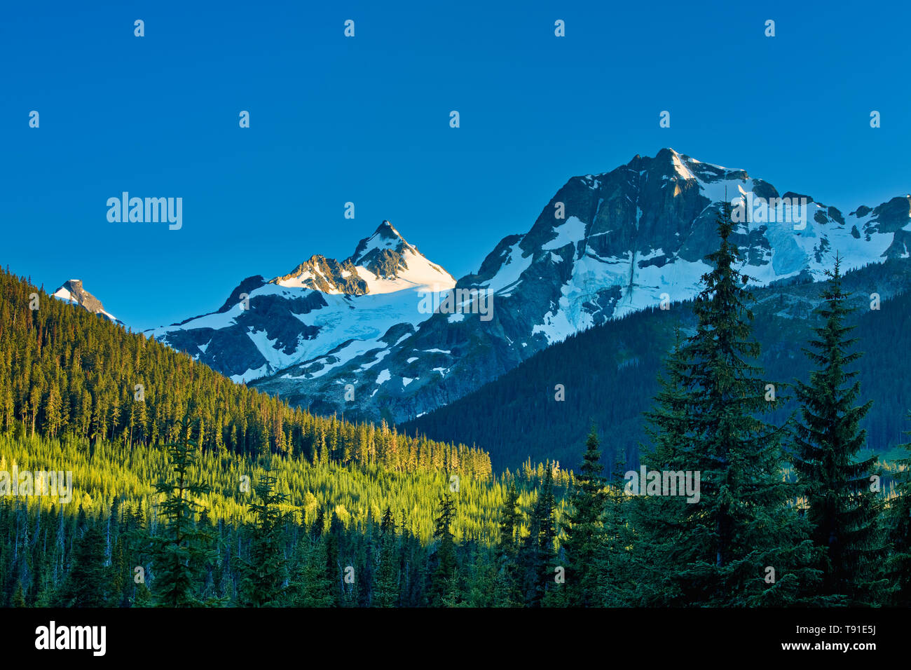 Picco di montagna visto dal basso Joffre Lago Joffre Laghi Parco Provinciale della Columbia britannica in Canada Foto Stock