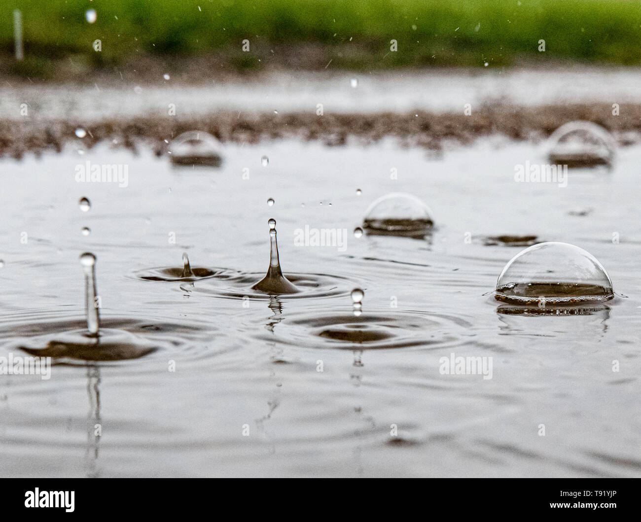 Berlino, Germania. 16 Maggio, 2019. Le gocce di pioggia caduta in una pozza e creare forme artistiche attraverso l'impatto. Credito: Paolo Zinken/dpa/Alamy Live News Foto Stock