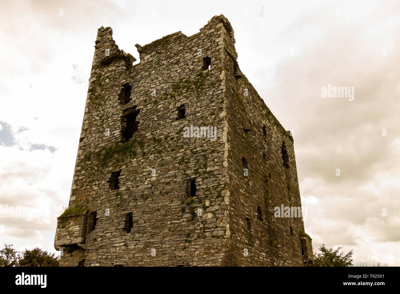 Ballinacarriga castello un castello irlandese sotto un cielo nuvoloso Foto Stock
