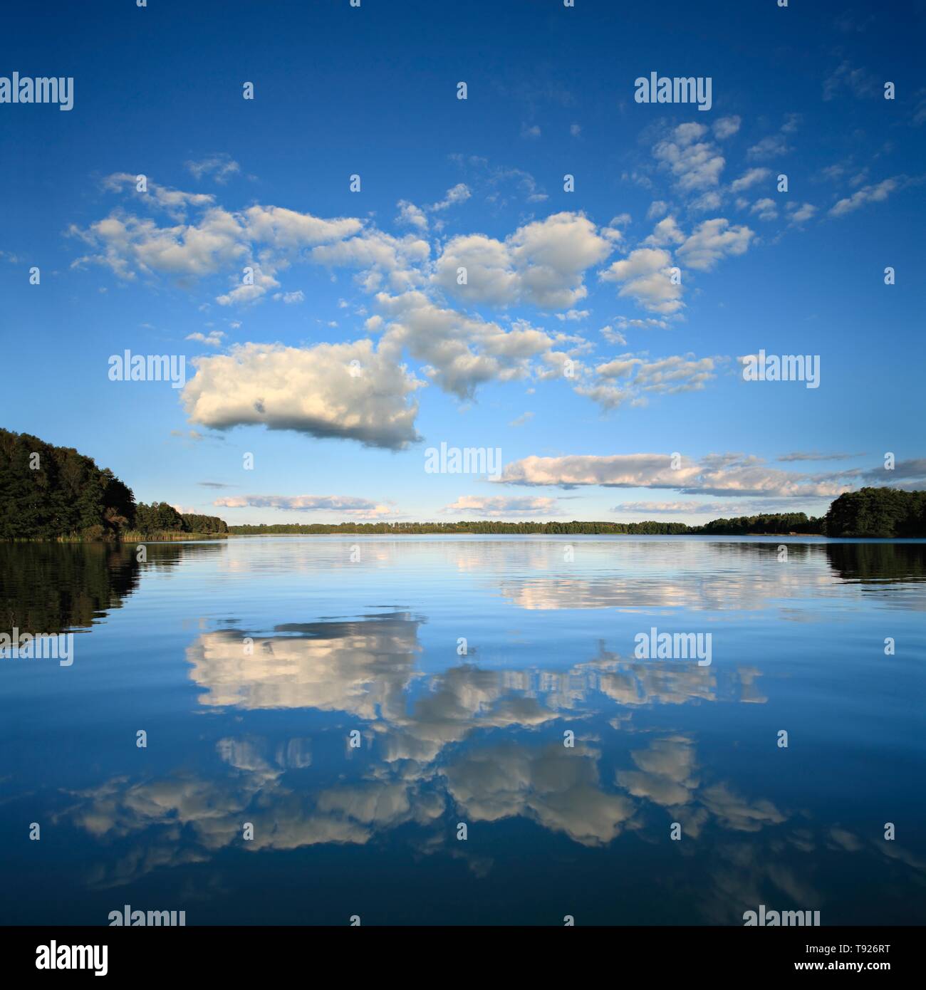 Lago Platlinsee, cielo blu con nuvole riflettenti, Meclemburgo-Pomerania, Germania Foto Stock