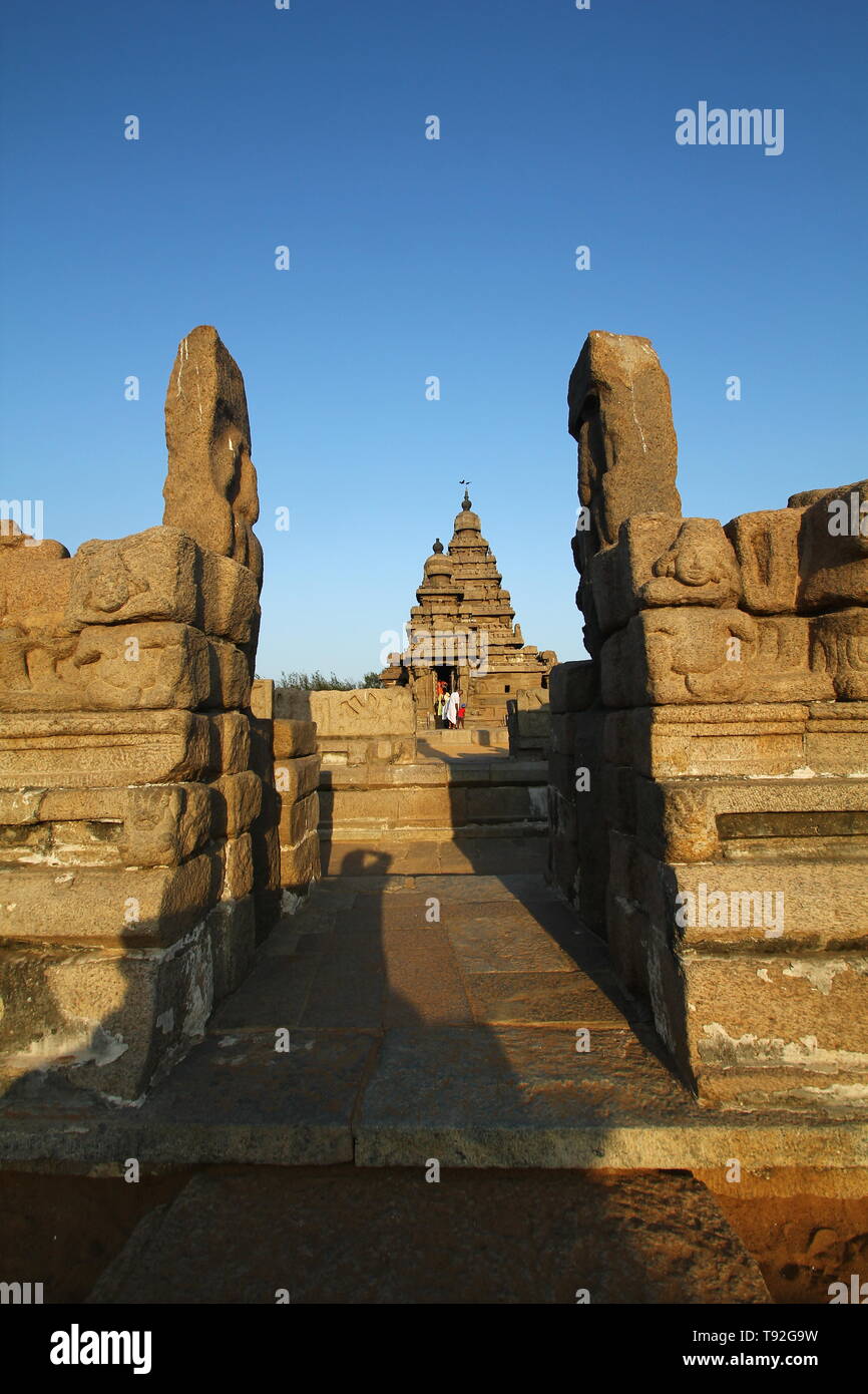 Tempio Shore a mahabalipuram, sito patrimonio mondiale dell'UNESCO, Tamil Nadu, India, Asia Foto Stock