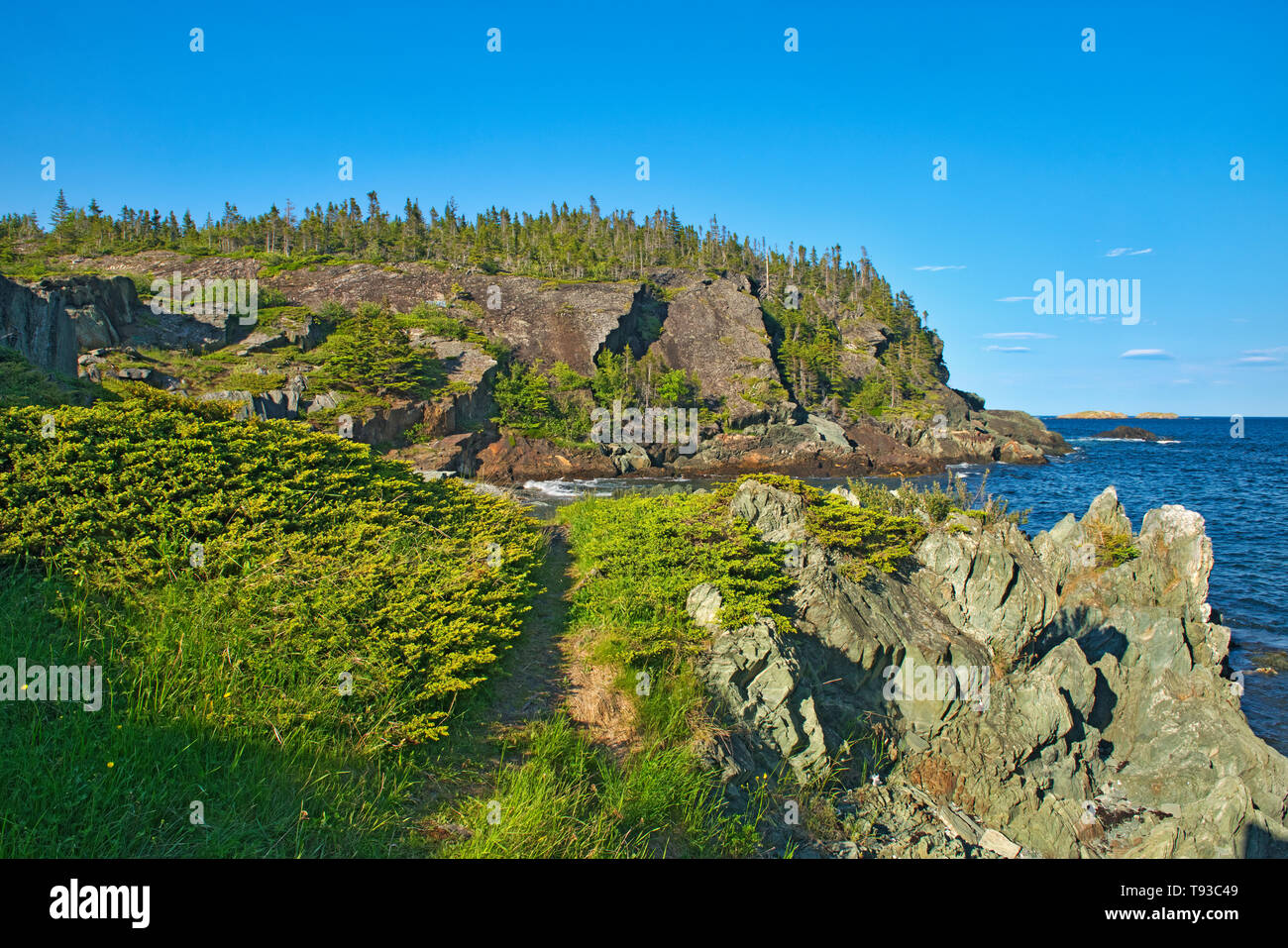 Costa rocciosa lungo l'Oceano Atlantico. Baie Verte la penisola, Coachman's Cove, Terranova e Labrador, Canada Foto Stock