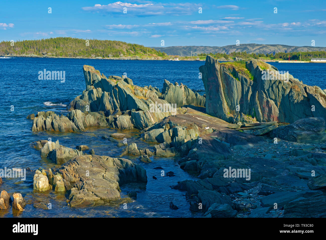 Costa rocciosa lungo l'Oceano Atlantico. Baie Verte penisola. Coachman's Cove Terranova e Labrador Canada Foto Stock