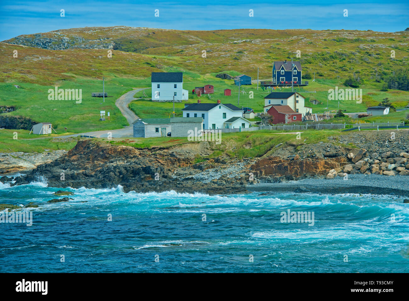 Costa rocciosa, case e l'Oceano Atlantico sulla penisola di Bonavista, Elliston, Terranova e Labrador, Canada Foto Stock