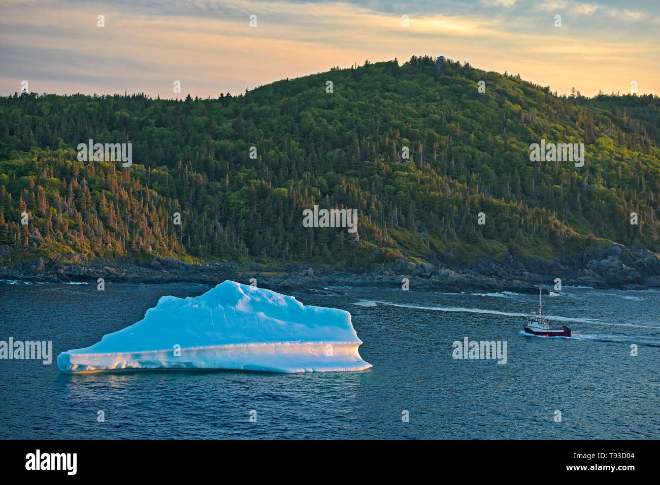 Iceberg in La Scie porto fuori l'Oceano Atlantico, Baie Verte la penisola, La Scie, Terranova e Labrador, Canada Foto Stock