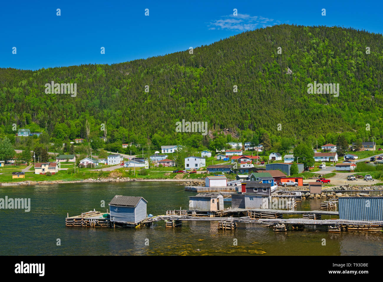 Villaggio di Pescatori e il litorale lungo la baia di bianco. Baie Verte penisola. Terranova e Labrador Canada Foto Stock