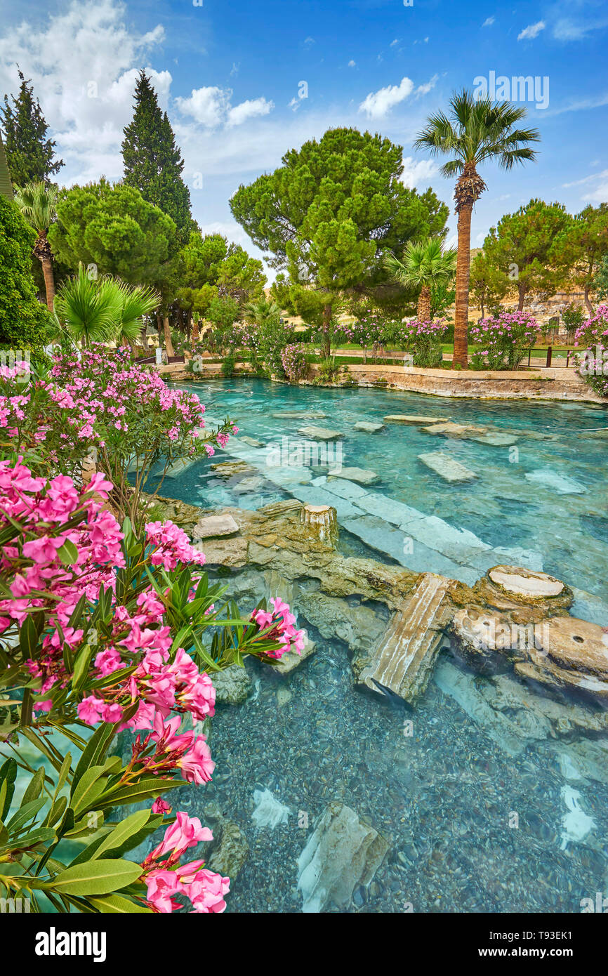 Pool di Cleopatra con fiori che sbocciano, Pamukkale, Turchia Foto Stock