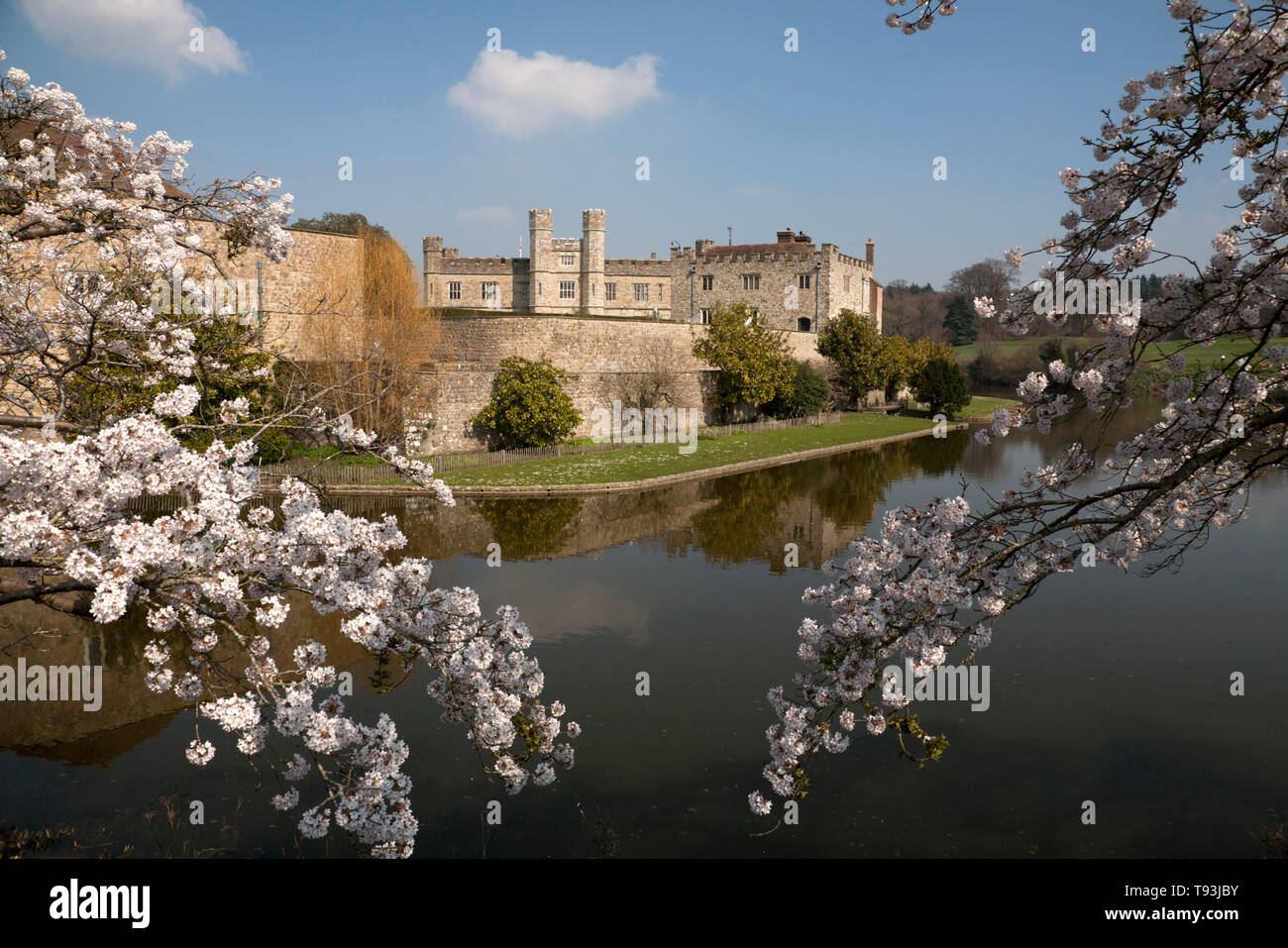 Blossom e fossato Castello di Leeds maidstone kent england Foto Stock