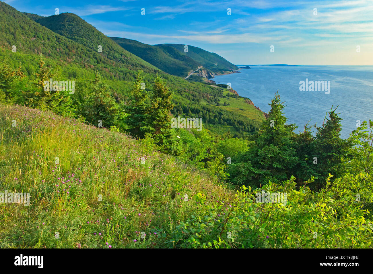 Costa rocciosa lungo la Cabot Strait (Oceano Atlantico). Cabot Trail. Cape Breton Island. Appalachain catena montuosa. Cape Breton Highlands National Park Nova Scotia Canada Foto Stock