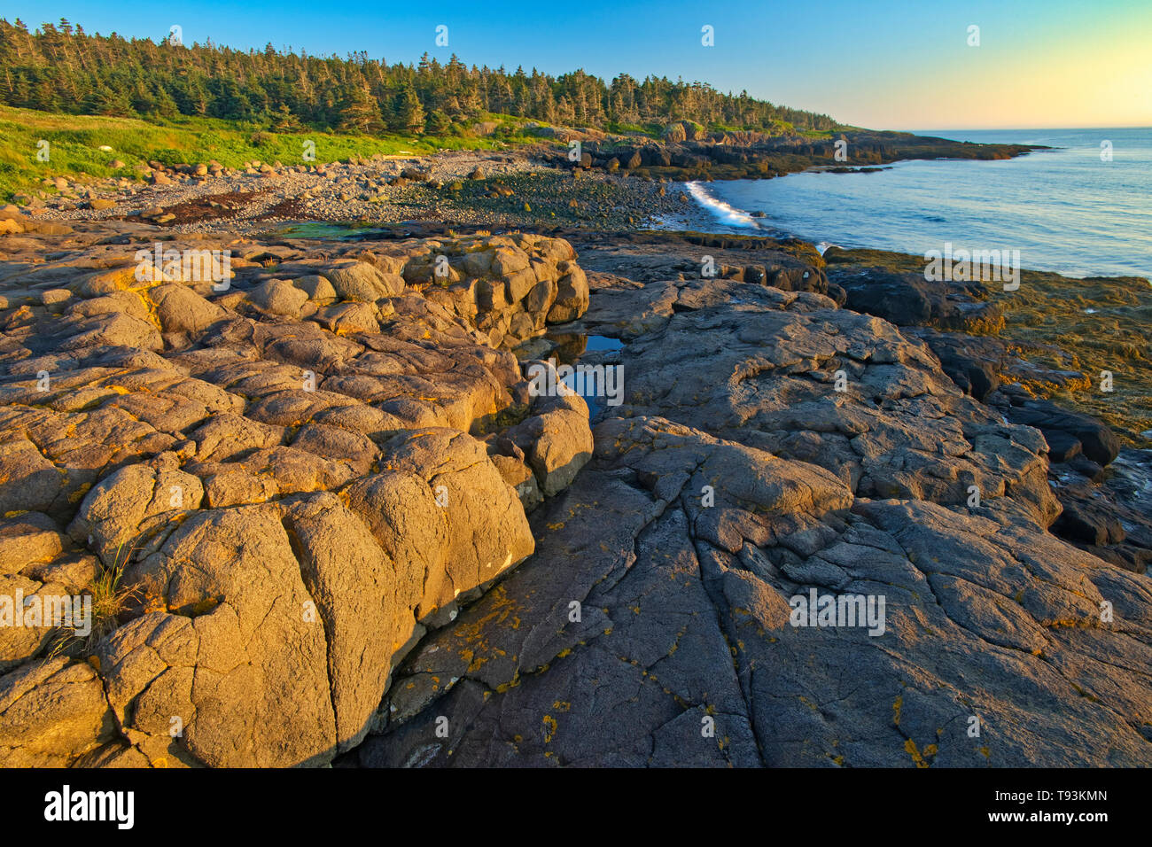 Costa rocciosa lungo la baia di Fundy a farina Cove Long Island sul collo DIgby Nova Scotia Canada Foto Stock