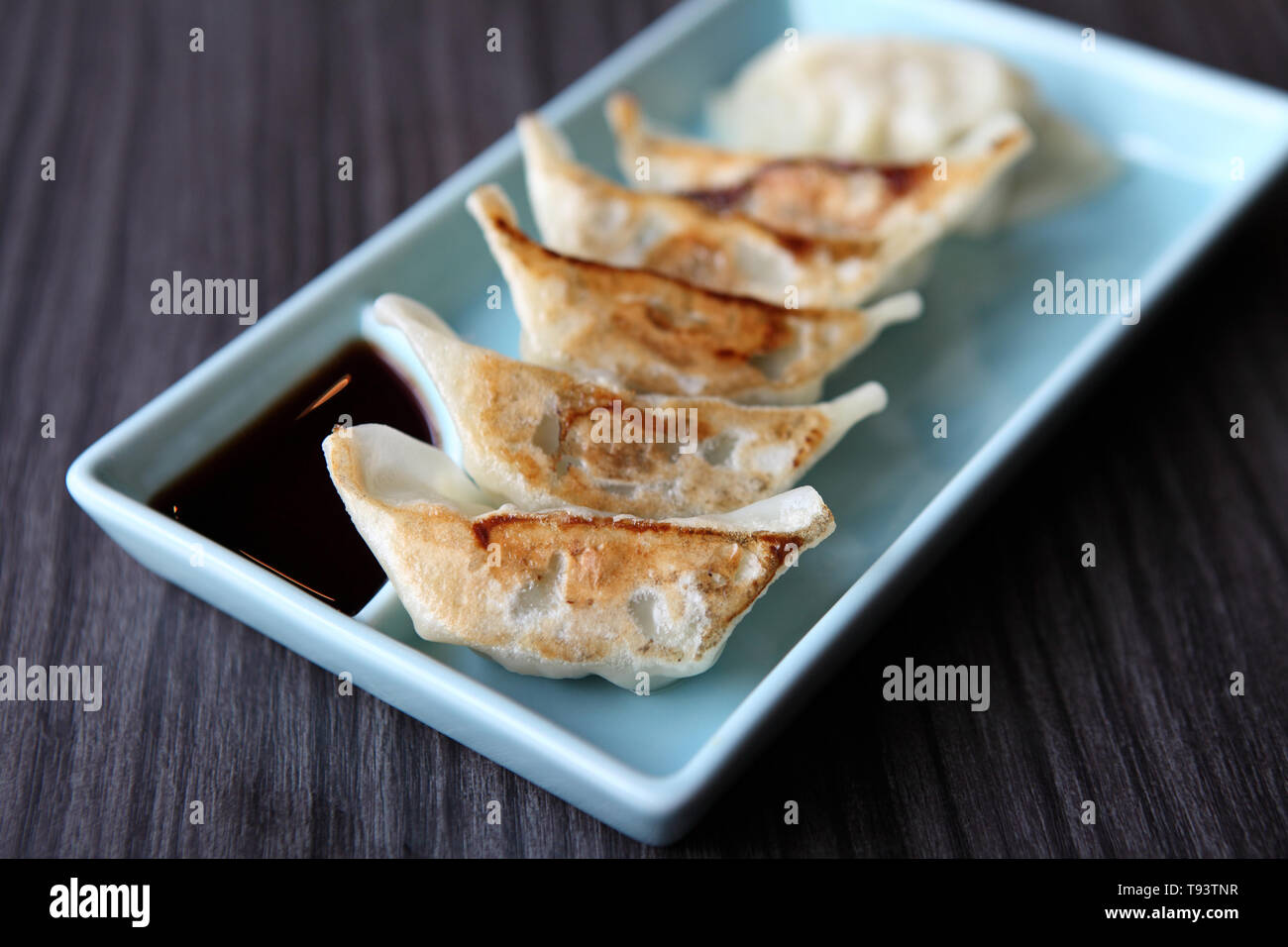 Gyoza Foto Stock