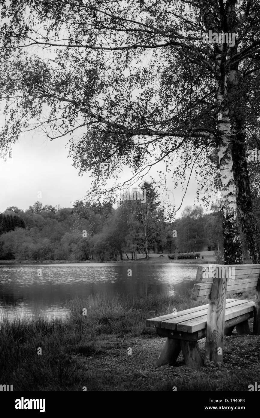 Bianco e nero paesaggio di un momento tranquillo presso il lago in una foresta francese Foto Stock