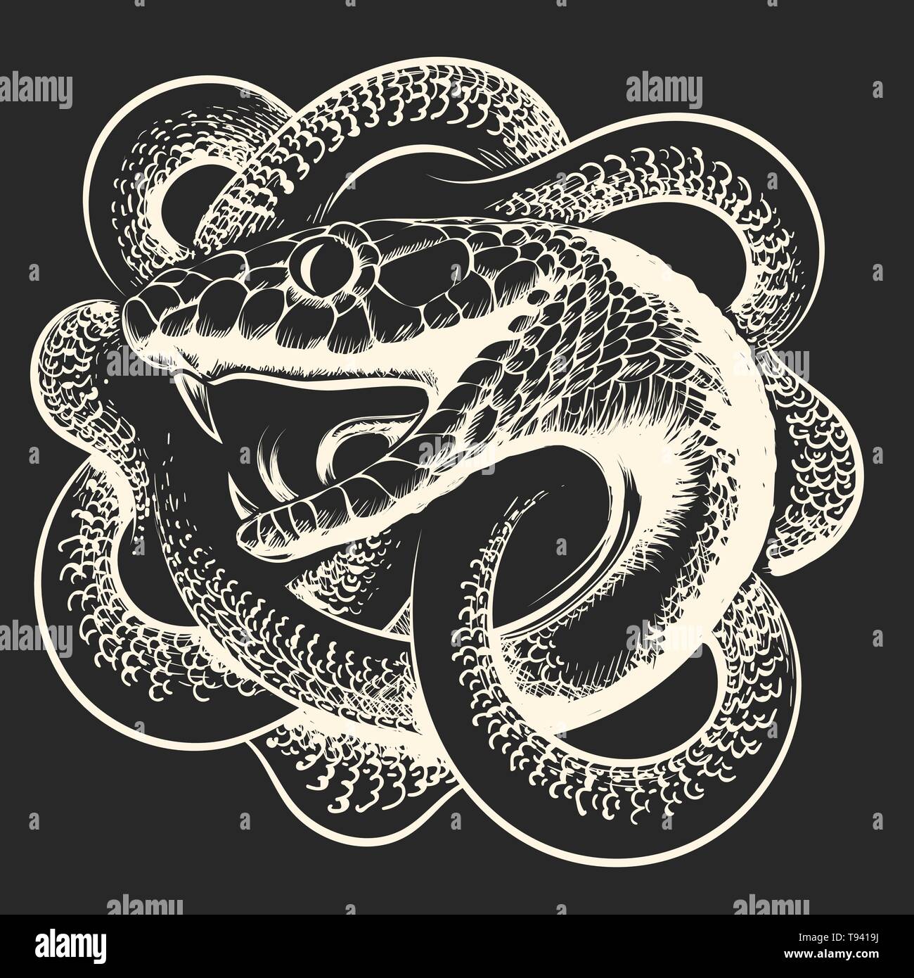 Serpente a spirale con bocca aperta su sfondo nero. Illustrazione Vettoriale. Illustrazione Vettoriale
