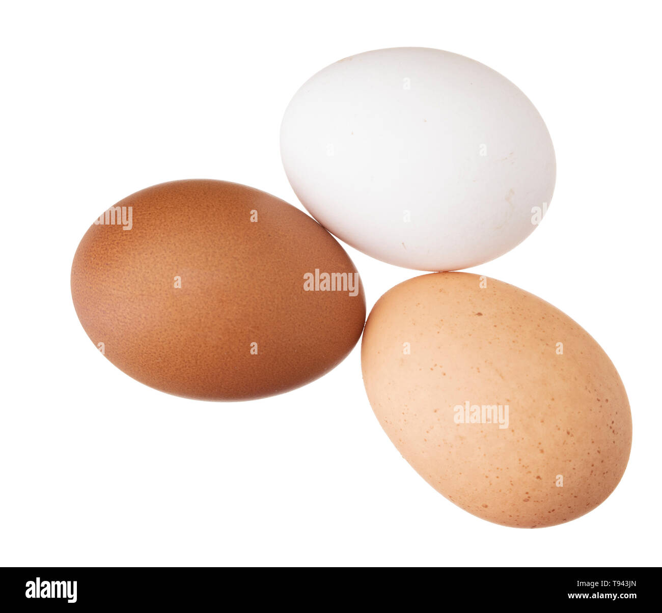 Tre pollo, uova di galline isolato su bianco. Colori: marrone e bianco screziato. Foto Stock