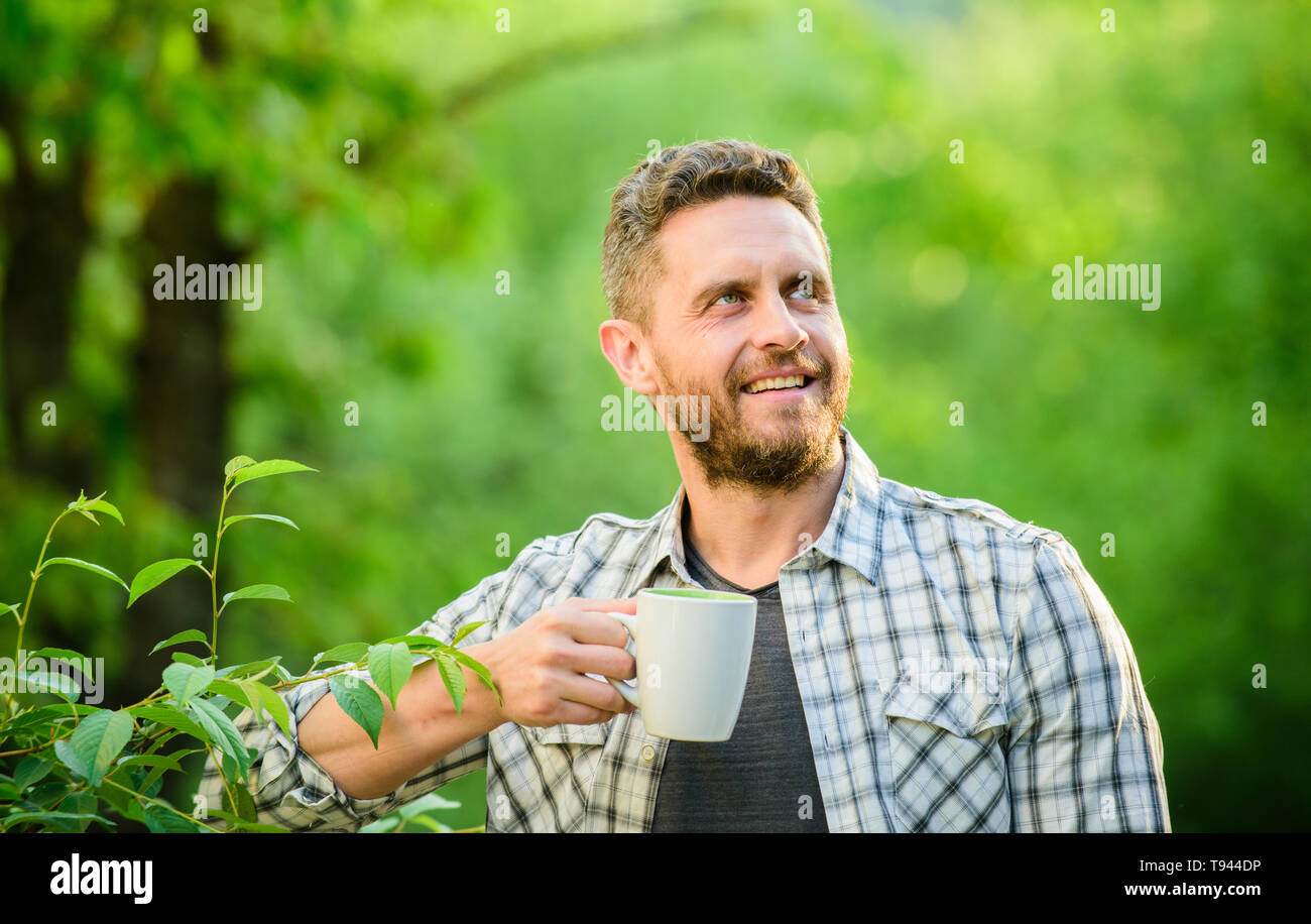 Il tè verde contiene composti bioattivi che migliorano la salute. A foglia intera tè. Bevanda naturale. Uno stile di vita sano. Io preferisco il tè verde. Bevanda rinfrescante. Uomo Barbuto tea farmer tenere mug natura dello sfondo. Foto Stock