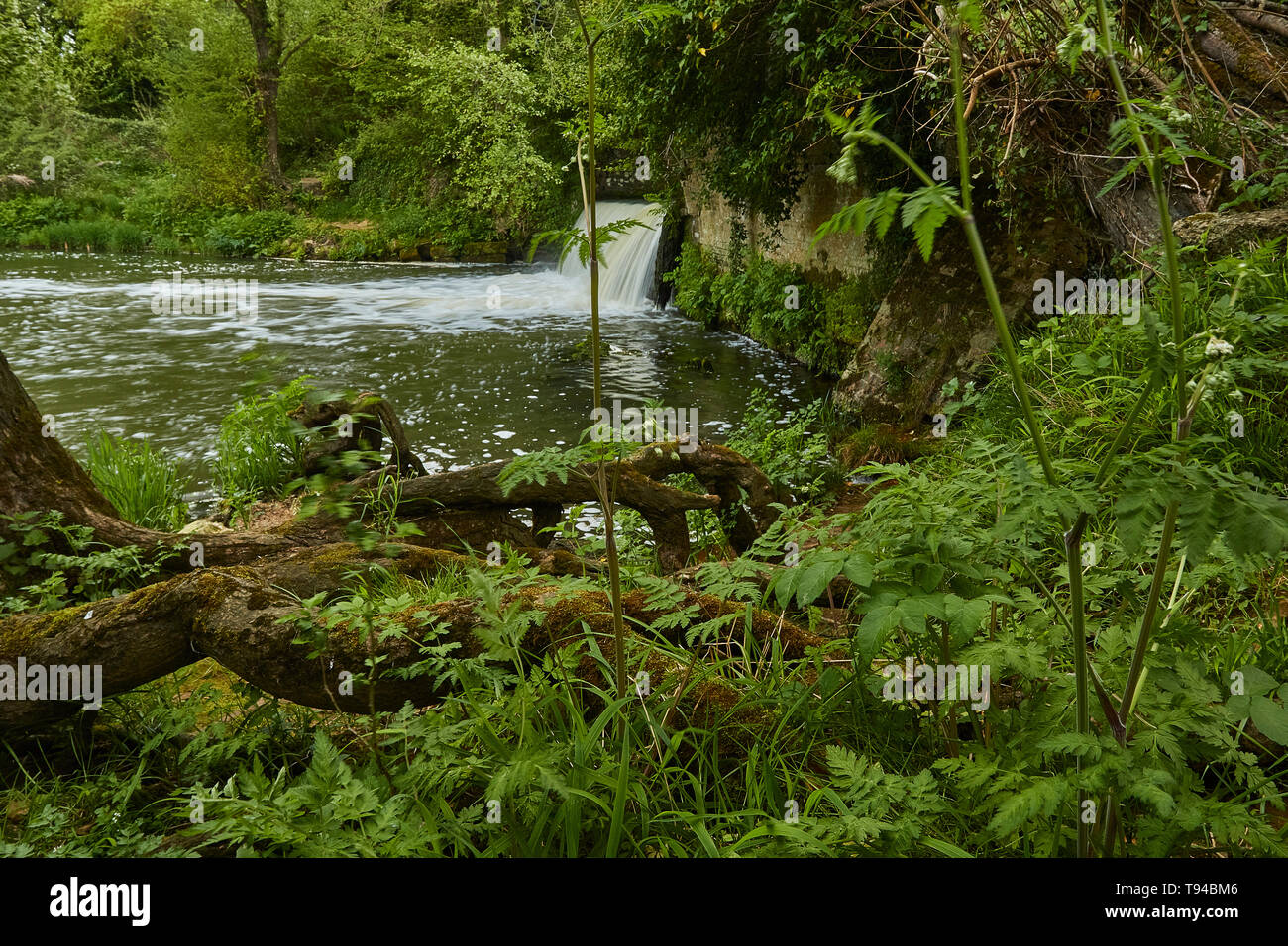 Fiume Medway cascata e campagna del Sussex percorso durante la primavera, England, Regno Unito, Europa Foto Stock