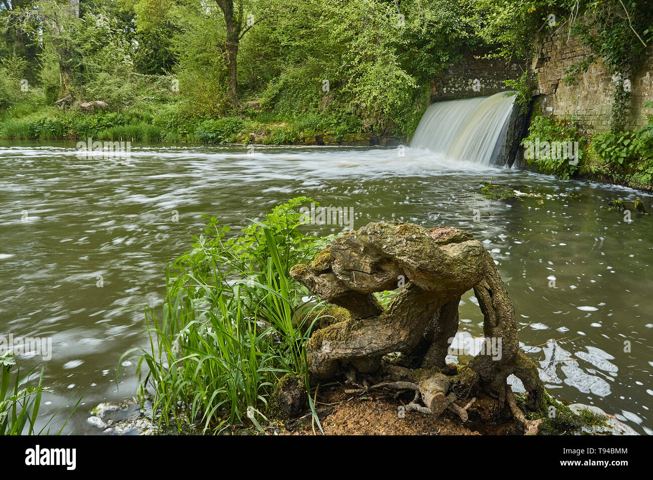 Fiume Medway cascata e campagna del Sussex percorso durante la primavera, England, Regno Unito, Europa Foto Stock