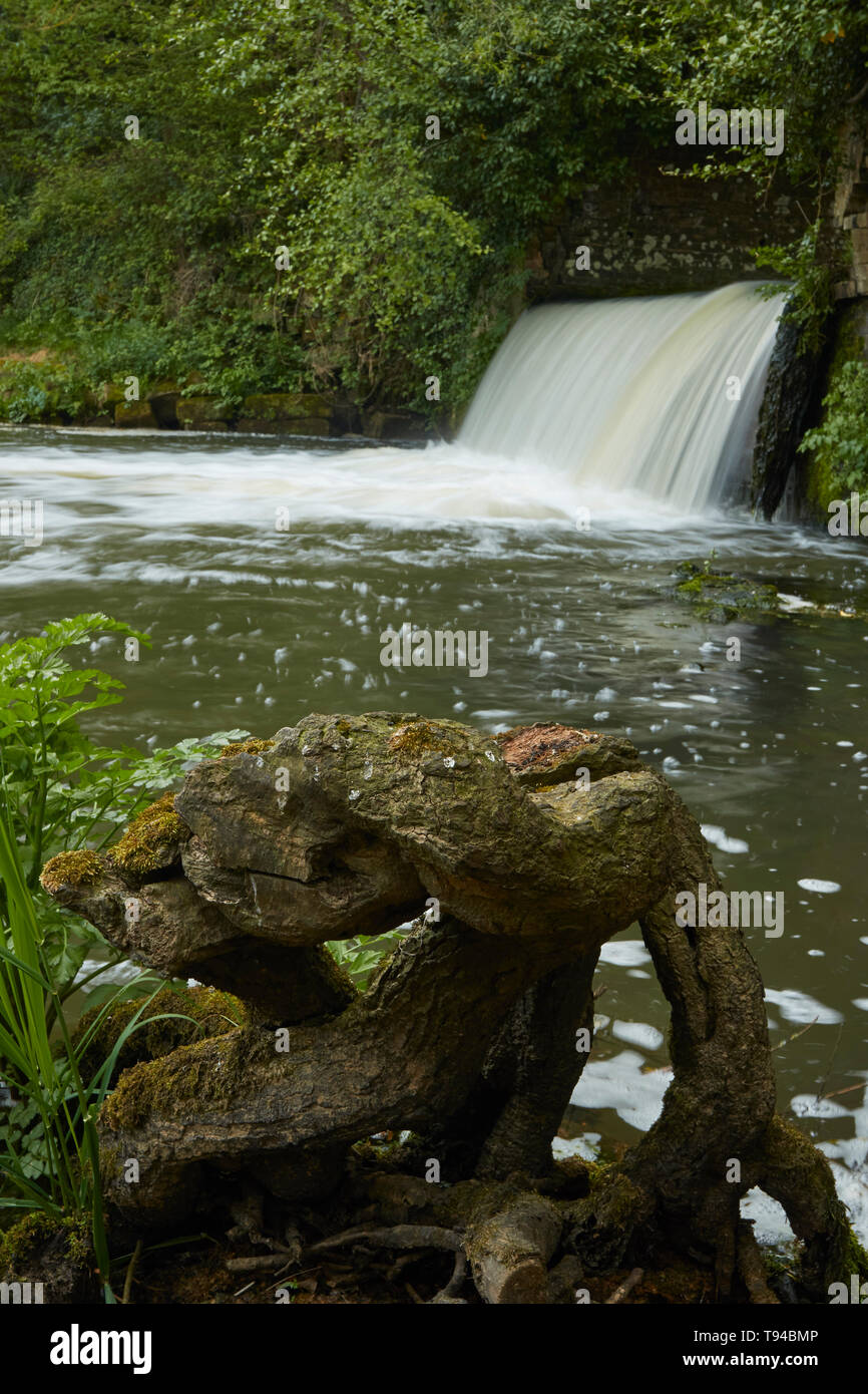 Fiume Medway cascata e campagna del Sussex percorso durante la primavera, England, Regno Unito, Europa Foto Stock