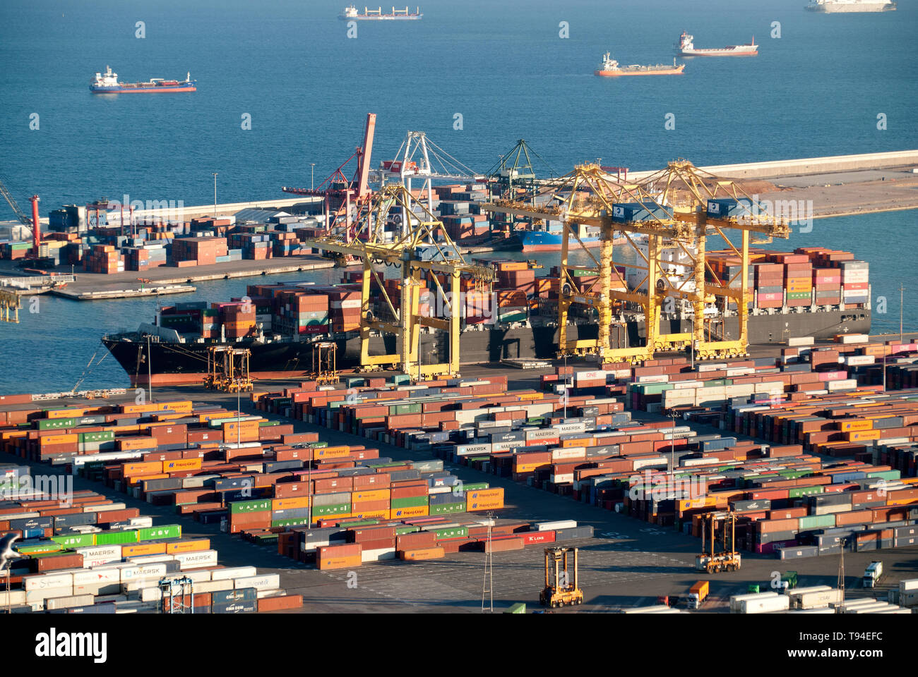 Carico e scarico di navi container presso il terminal APM del porto di Barcellona, logistica marittima impegnata in azione. Foto Stock