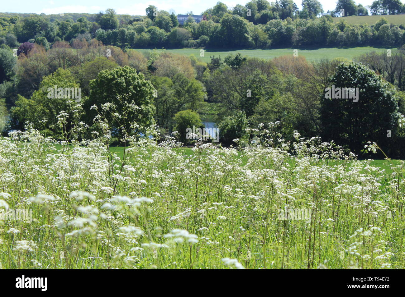 Paesaggio inglese n. 1 Foto Stock