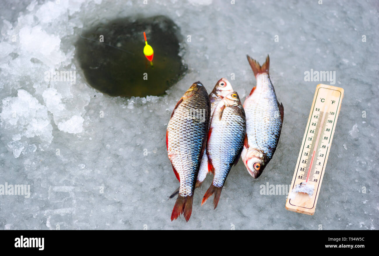 Foro di ghiaccio di pesca. In inverno la pesca nelle gelide concetto meteo Foto Stock