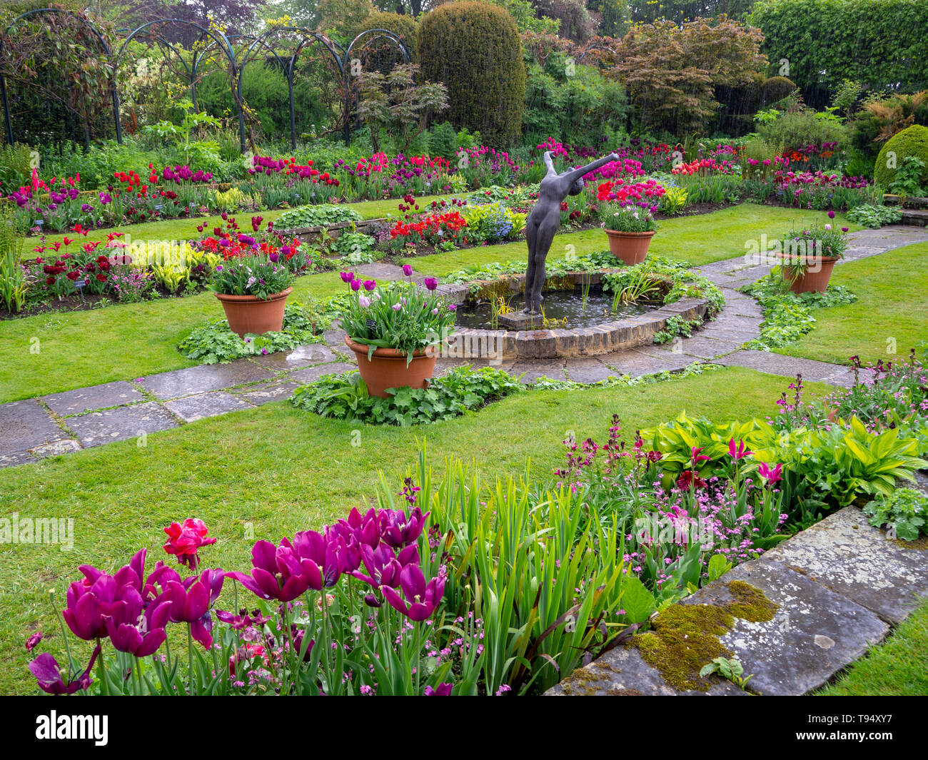 Chenies Manor House Sunken giardino scultura nel laghetto ornamentale in riducendo, gli spruzzi di pioggia in maggio con vivaci tulip varietà; un posto bellissimo. Foto Stock