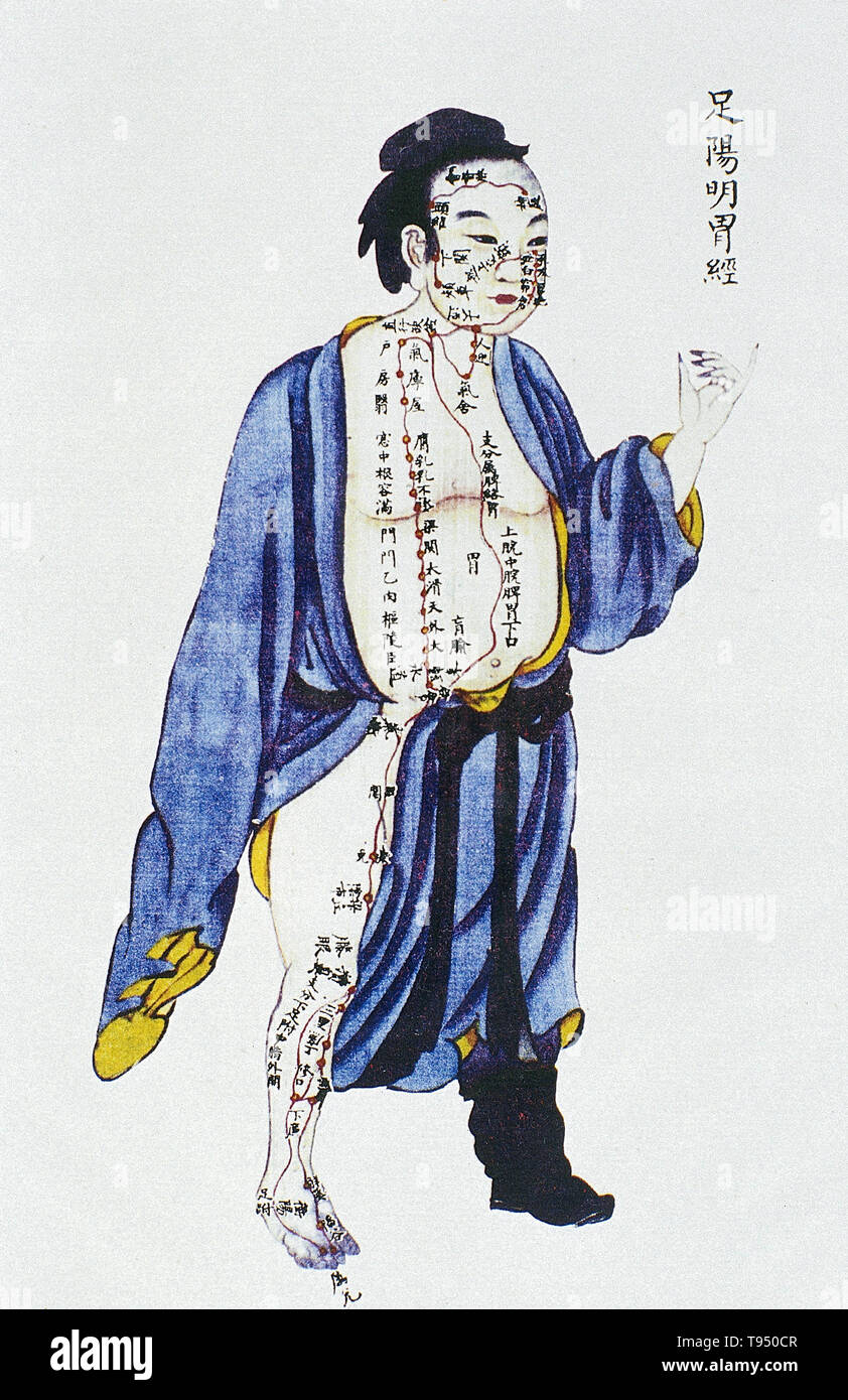 Illustrazione che mostra il canale dello stomaco di gamba yangming da Renti jingmai tu (illustrazioni dei canali del corpo umano), un testo manoscritto eseguito durante il regno di Kangxi periodo della dinastia Qing (1662-1722). L'agopuntura è una forma di medicina alternativa in cui sottili aghi sono inseriti nel corpo. Si tratta di un componente chiave della medicina tradizionale cinese (MTC). TCM la teoria e la pratica non sono basate su conoscenze scientifiche, e agopuntura è un pseudoscience. Foto Stock