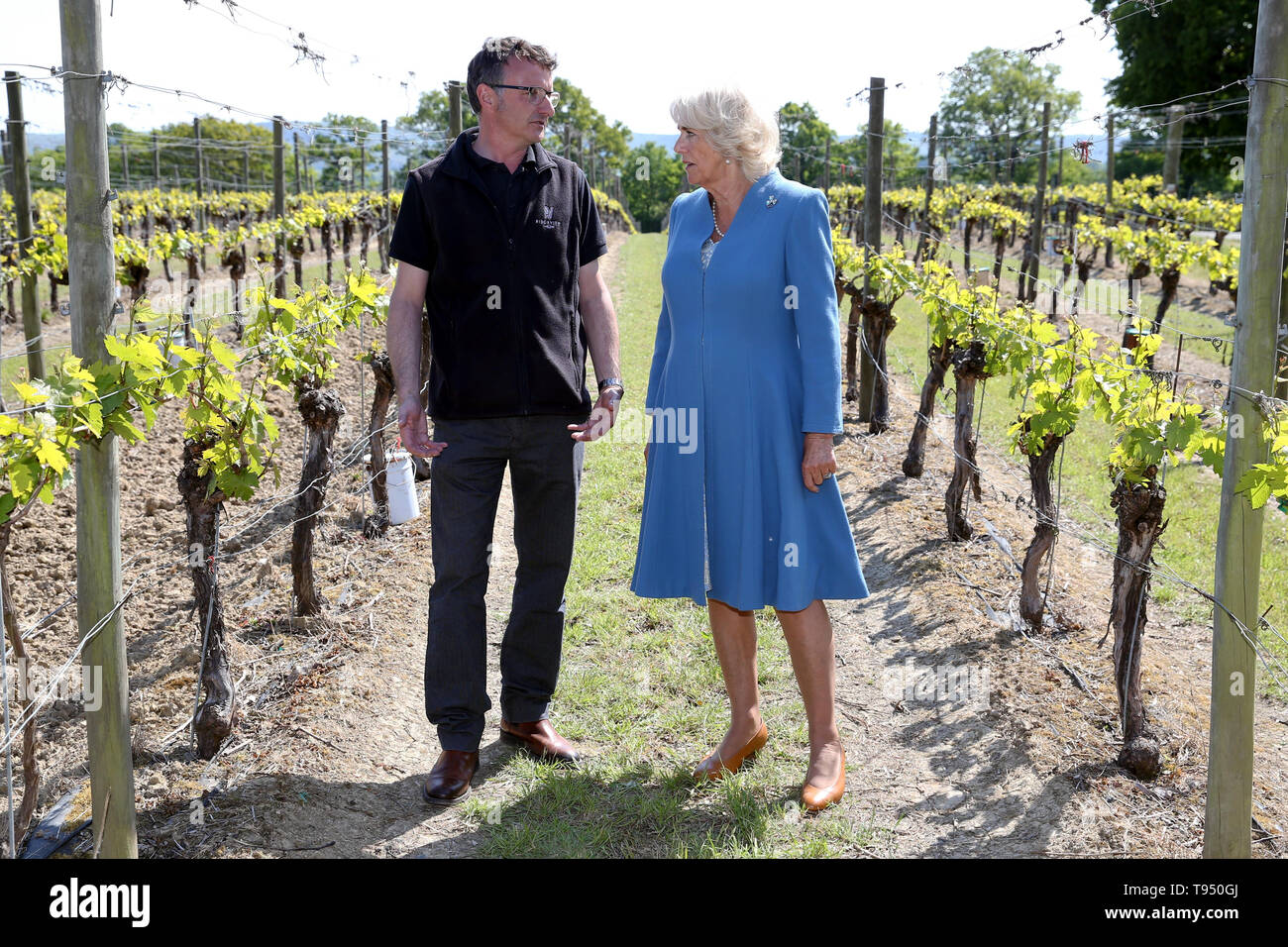 La duchessa di Cornovaglia, Presidente del vino GB, parla con vigneto gestore Matt Strugnell durante una visita a premiati Ridgeview Wine Estate, a conduzione familiare con vino frizzante business in comune Ditchling, East Sussex. Foto Stock