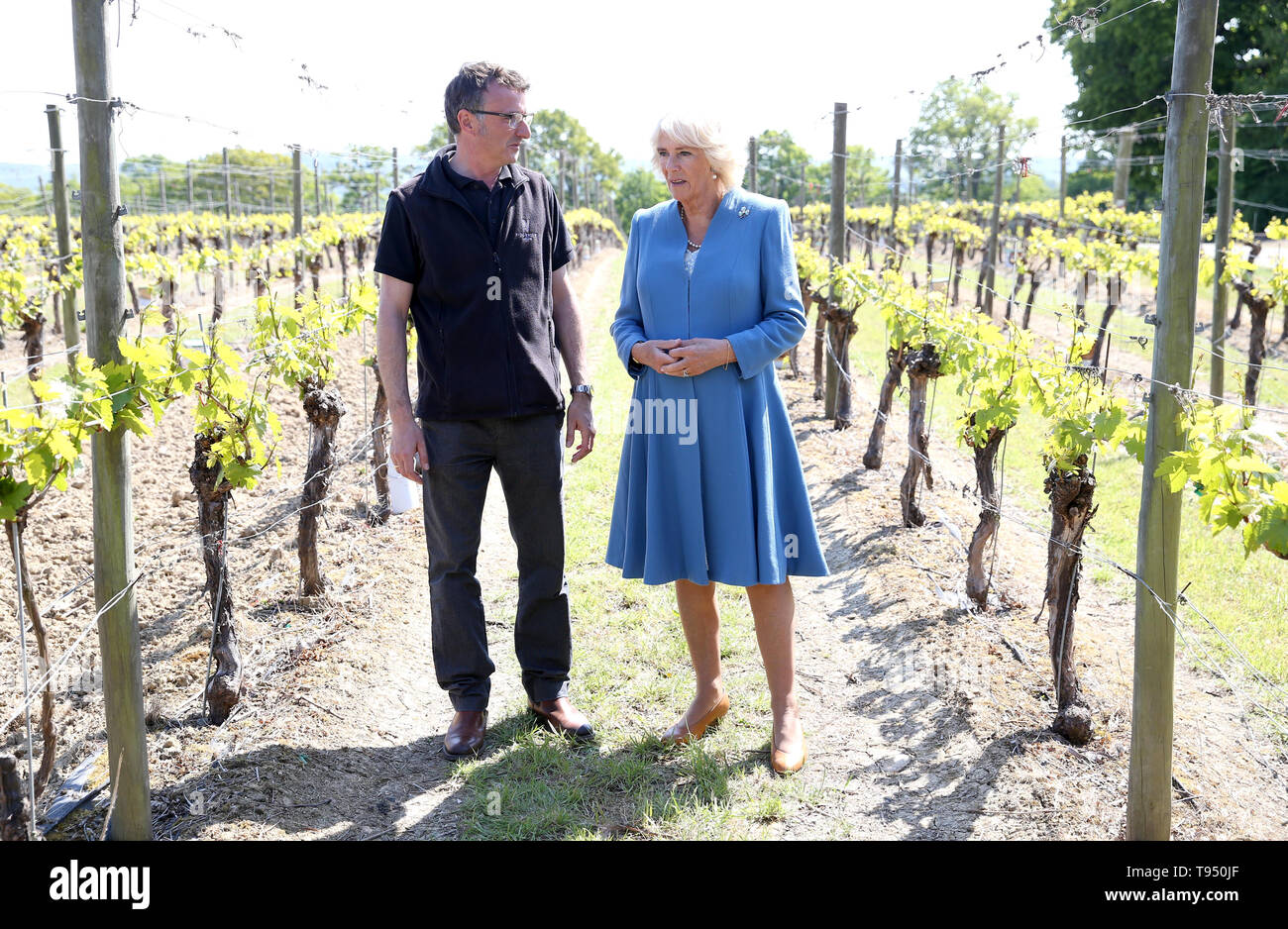 La duchessa di Cornovaglia, Presidente del vino GB, parla con vigneto gestore Matt Strugnell durante una visita a premiati Ridgeview Wine Estate, a conduzione familiare con vino frizzante business in comune Ditchling, East Sussex. Foto Stock