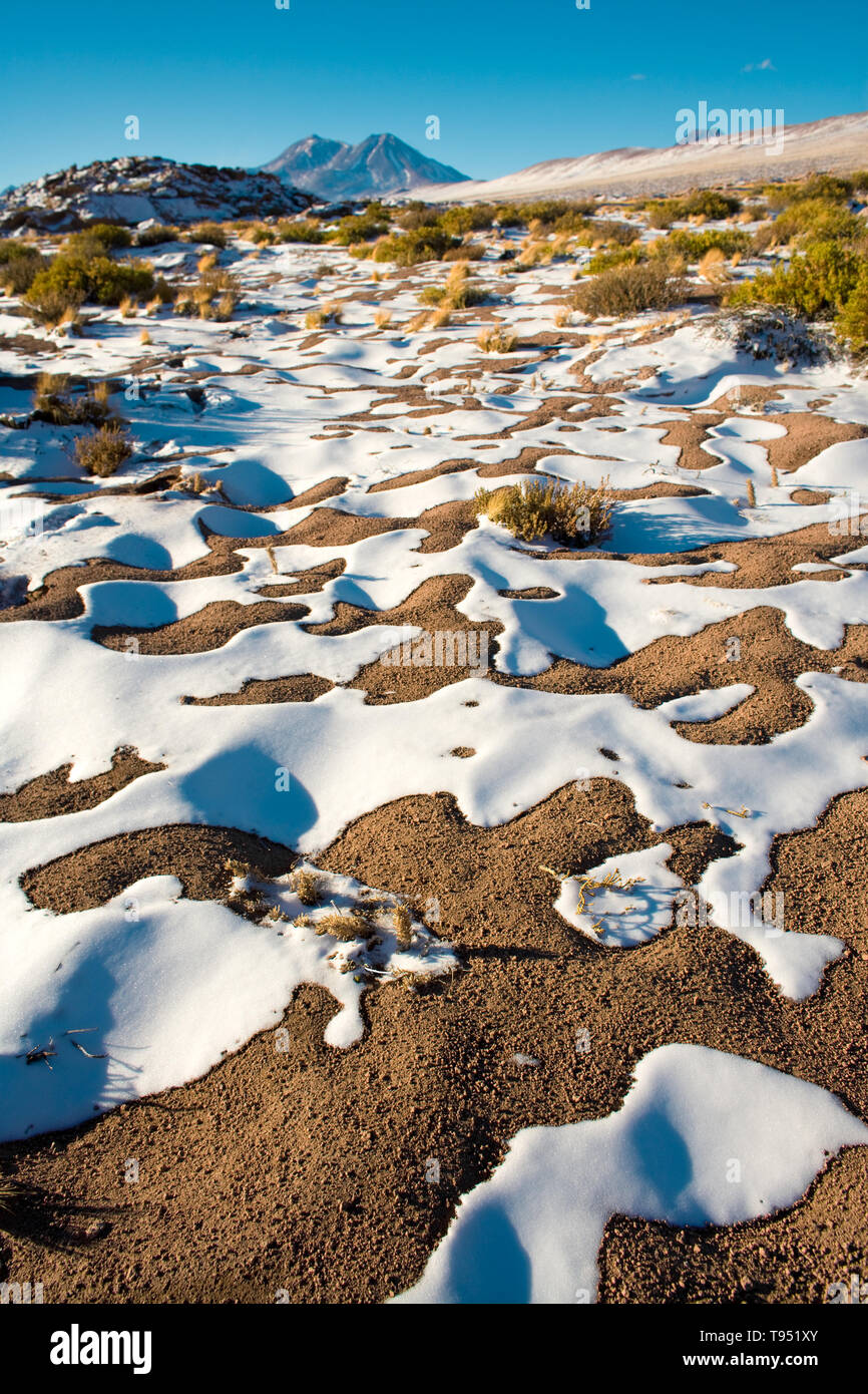 Neve in Altiplano (alto altopiano andino), los Flamencos riserva nazionale, il deserto di Atacama, Cile, Sud America Foto Stock