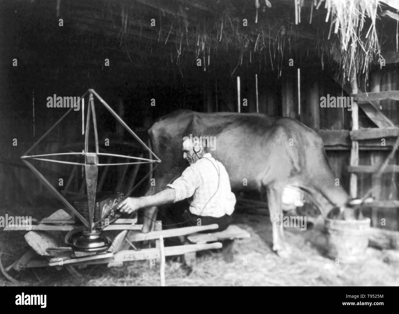 Titolo: "Il lattaio tunes in a mungendo tempo' mostra dairy agricoltore la sintonizzazione della radio come egli si prepara al latte di una mucca mentre indossa le cuffie. La mungitura è l'atto di rimozione del latte dalle ghiandole mammarie di bestiame bovino, bufalo indiano di acqua, capre, pecore e più raramente cammelli, cavalli e asini. La mungitura può essere fatto da mano o da macchina e richiede l'animale ad essere attualmente o recentemente in stato di gravidanza. Il milker può riferirsi sia all'animale che produce latte o la persona che latti di detto animale. Nessun fotografo accreditato, 1923. Foto Stock