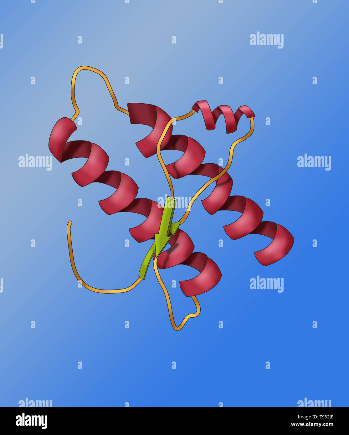 Modello di una proteina prionica. I prioni sono gli agenti infettivi composto interamente di un materiale proteico che è in grado di ripiegare in più, strutturalmente modi astratti, almeno uno dei quali è trasmissibile ad altre proteine prioni, che conduce alla malattia in una maniera che sia dal punto di vista epidemiologico paragonabile alla diffusione di infezione virale. I prioni composto della proteina prione si ritiene essere la causa delle encefalopatie spongiformi trasmissibili tra le altre malattie. Foto Stock