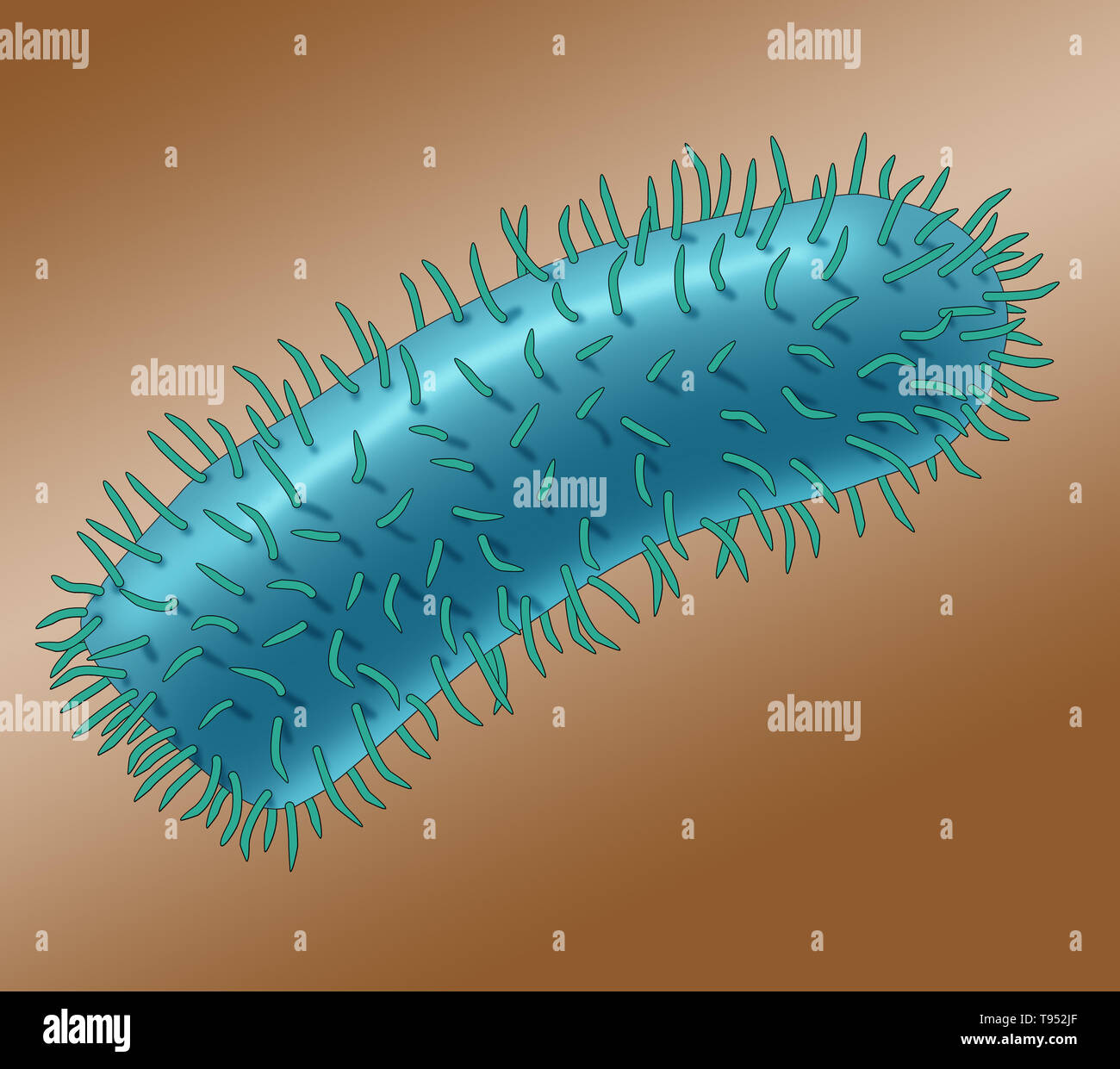 Immagine che mostra il virus della rabbia. Il virus della rabbia è un virus neurotropici che provoca la rabbia negli esseri umani e negli animali. Il virus della rabbia ha una morfologia cilindrica ed è il tipo di specie del genere Lyssavirus della famiglia Rhabdoviridae. Foto Stock