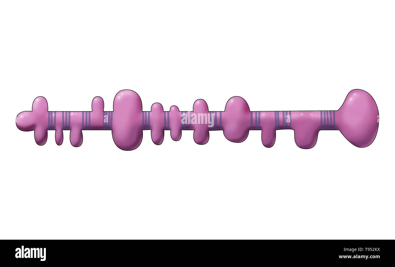 Illustrazione di un viriod. I viroidi sono il più piccolo dei patogeni infettivi noti. Essi sono unicamente composta da un filamento corto di circolare, RNA a filamento singolo senza rivestimento di proteina. Tutti noti i viroidi sono abitanti delle piante superiori, in cui la maggior parte delle cause di malattie, alcune delle quali sono di lieve catastrofici importanza economica. Foto Stock