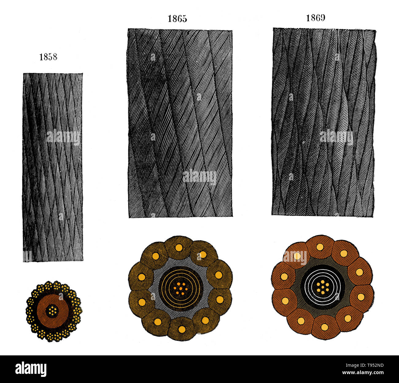 Cavi transatlantici della linea di Valentia (Irlanda) Terranova (americana) progettato i modelli a grandezza naturale in alzato e in sezione. Da sinistra a destra, 1858, 1865, 1869. Un telegrafo transatlantico cavo è un cavo sottomarino in esecuzione sotto l'Oceano Atlantico utilizzato per le comunicazioni del telegrafo. La prima è stata stabilita attraverso il pavimento dell'Atlantico dal campo del Telegrafo, Foilhommerum Bay, Valentia Isola nell'Irlanda occidentale al cuore del contenuto nella parte orientale della provincia di Terranova. Foto Stock
