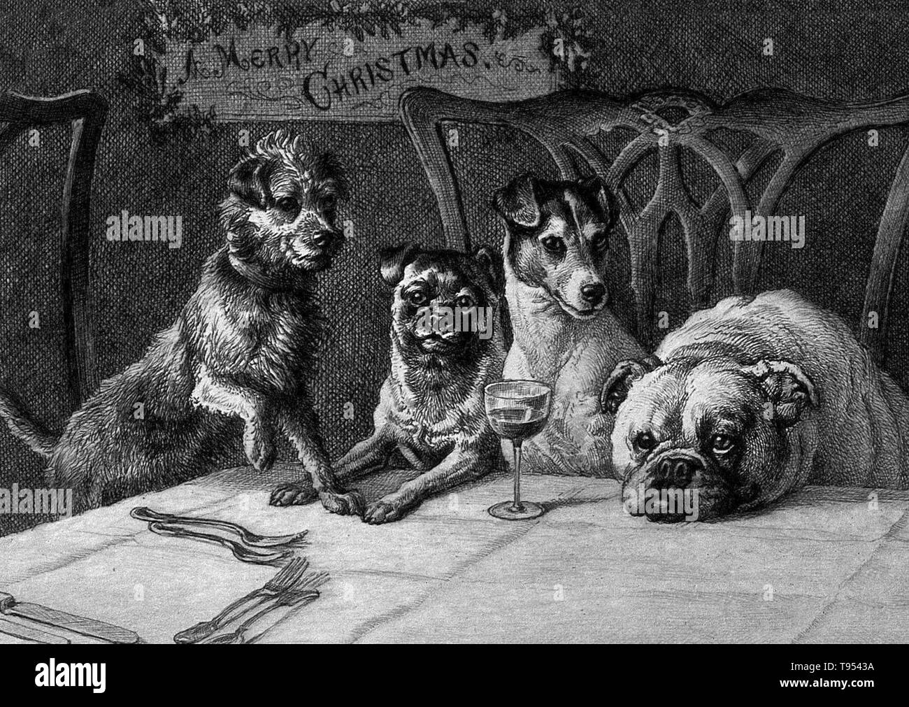 Titolo: "Quattro cani domestici sono seduti su due sedie in attesa impazienti di ricevere il cibo per essere servito il Natale è una commemorazione annuale della nascita di Gesù Cristo e un ampiamente osservato vacanza culturale, celebrata il 25 dicembre da miliardi di persone in tutto il mondo. Una festa centrale per il cristiano l anno liturgico, chiude la stagione di Avvento e avvia i dodici giorni di Christmastide, che termina dopo la dodicesima notte. Foto Stock