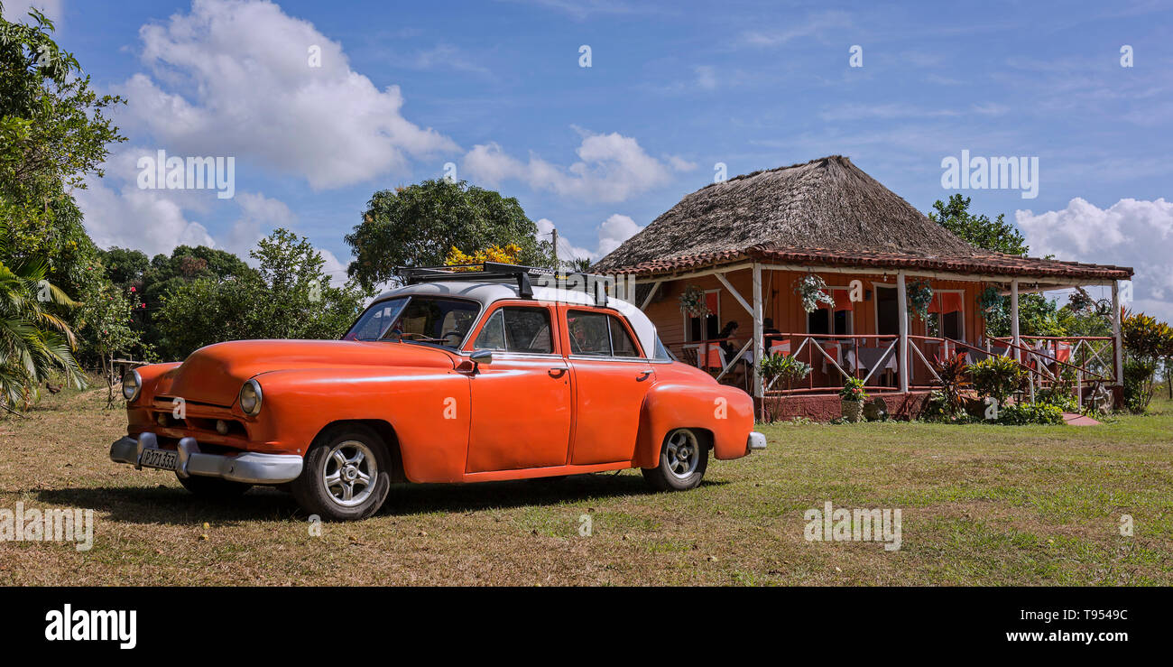 Cubano automobili classiche Foto Stock
