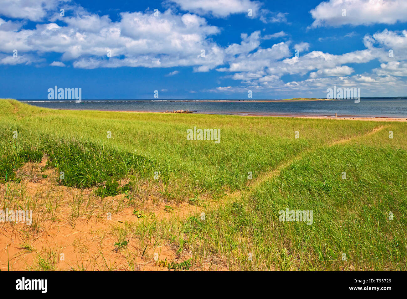 Nuvole e vegatation sulle dune New London Prince Edward Island in Canada Foto Stock