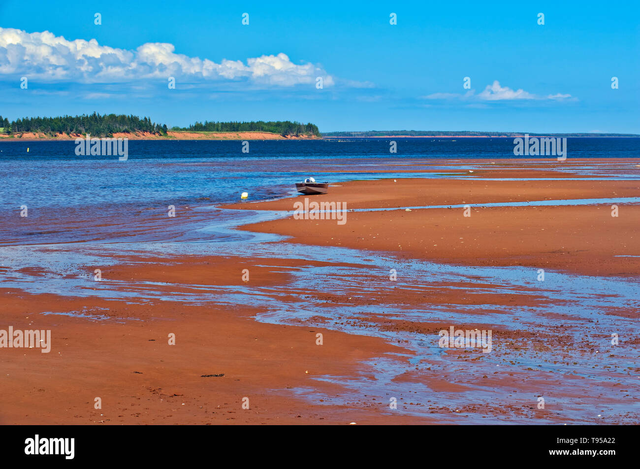 Red spiaggia sabbiosa con la bassa marea. Northumberland Strait abbassare Montague Prince Edward Island in Canada Foto Stock
