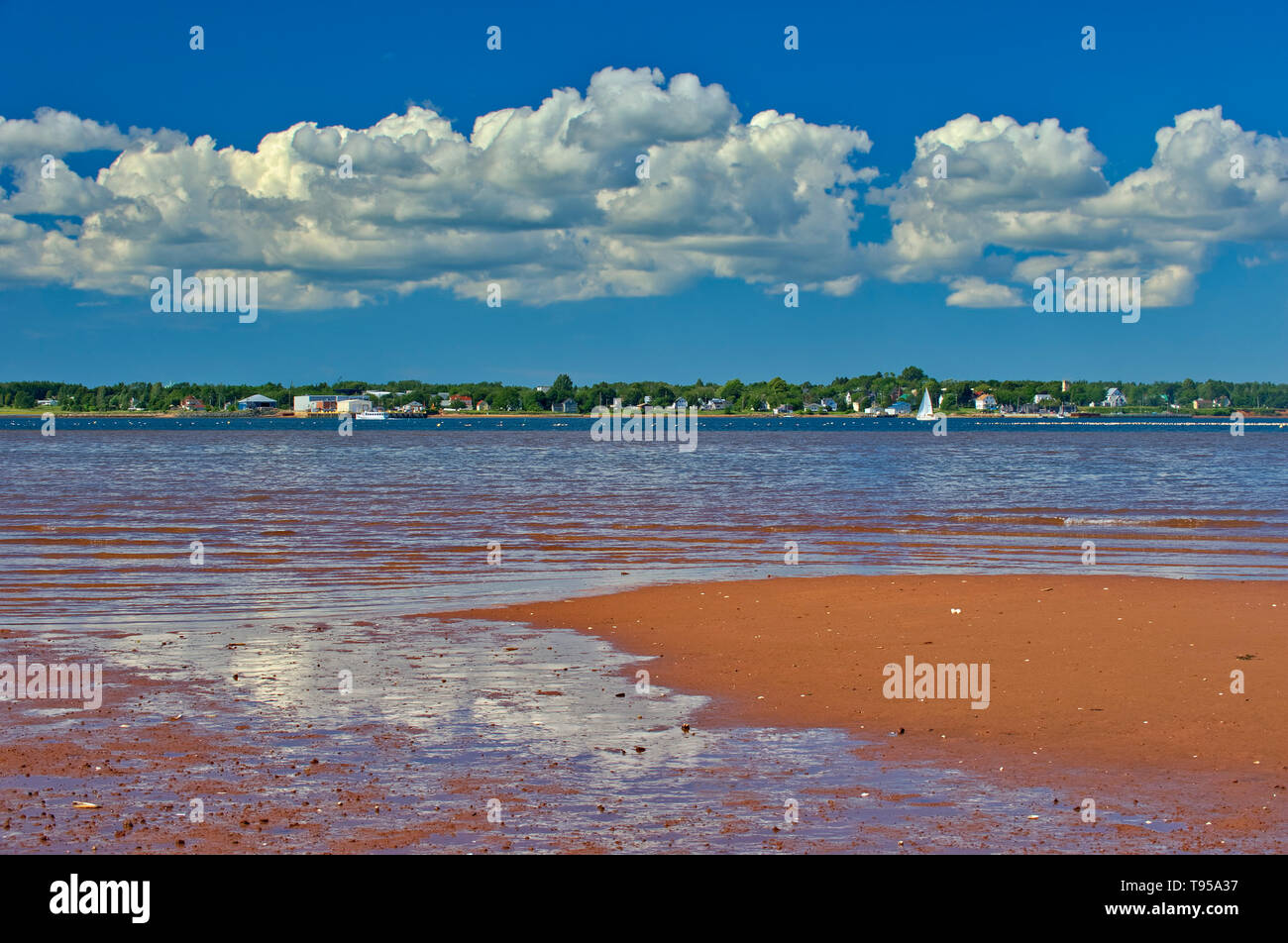 Red spiaggia sabbiosa con la bassa marea. Northumberland Strait abbassare Montague Prince Edward Island in Canada Foto Stock