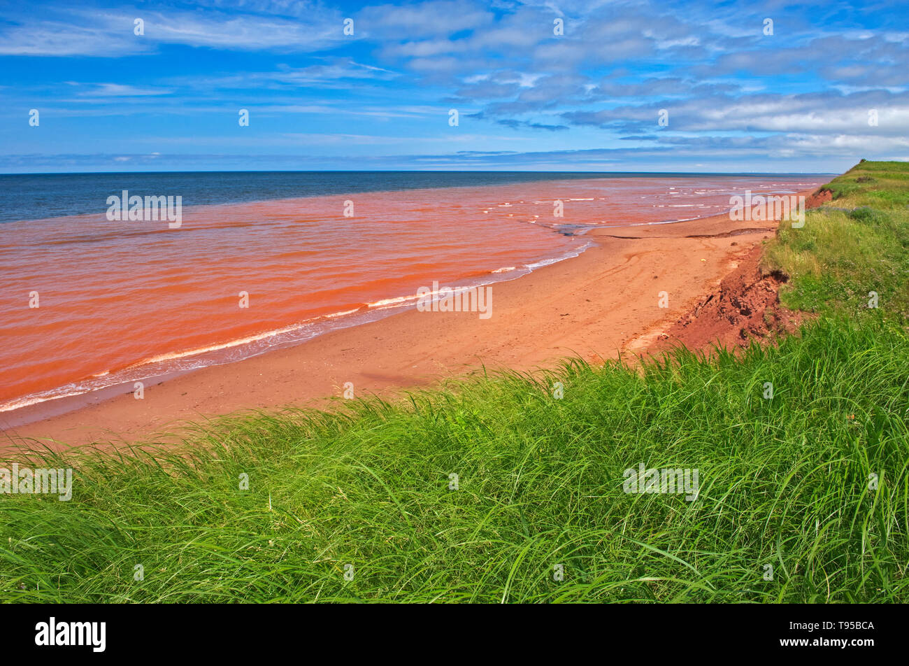 Pietra arenaria rossa spiaggia lungo il Northumberland Strait Waterford Prince Edward Island in Canada Foto Stock