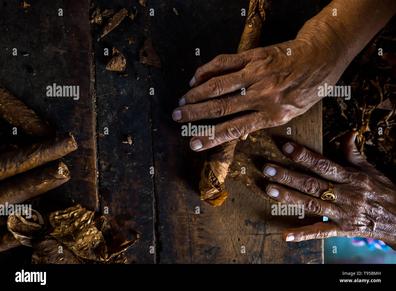 Le mani di Laura Peña, un 67-anno-vecchia donna di El Salvador, sono visti durante il rotolamento delle foglie di tabacco per fare sigari fatti a mano in Suchitoto, El Salvador. Foto Stock