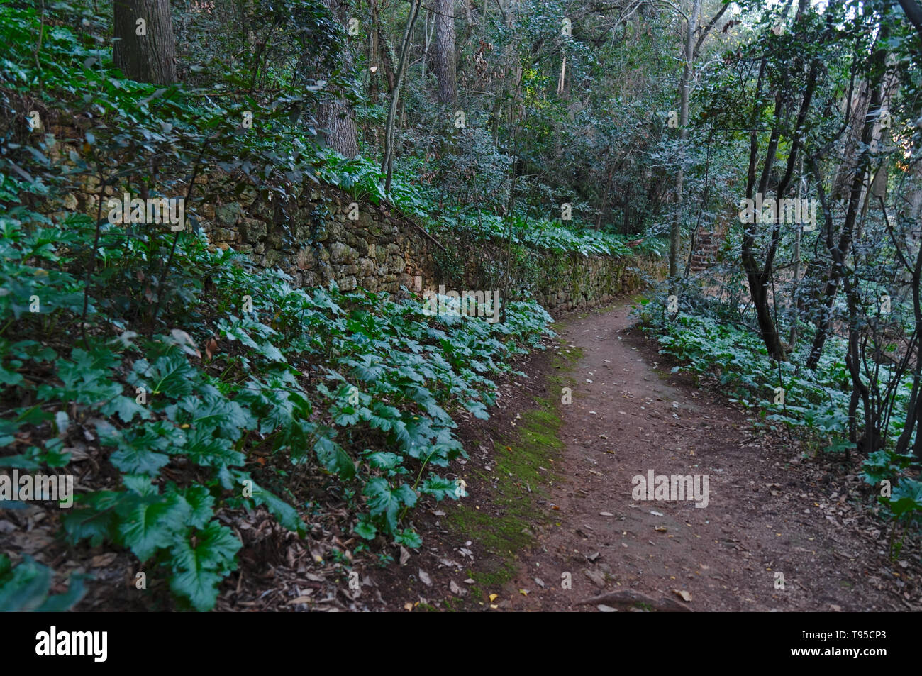 Quinta das Lagrimas Garden Paths a Coimbra. Portogallo Foto Stock