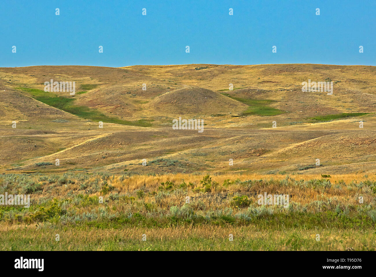 Colline e coulees di mixed-erba nativo praterie prateria Parco Nazionale di Saskatchewan in Canada Foto Stock