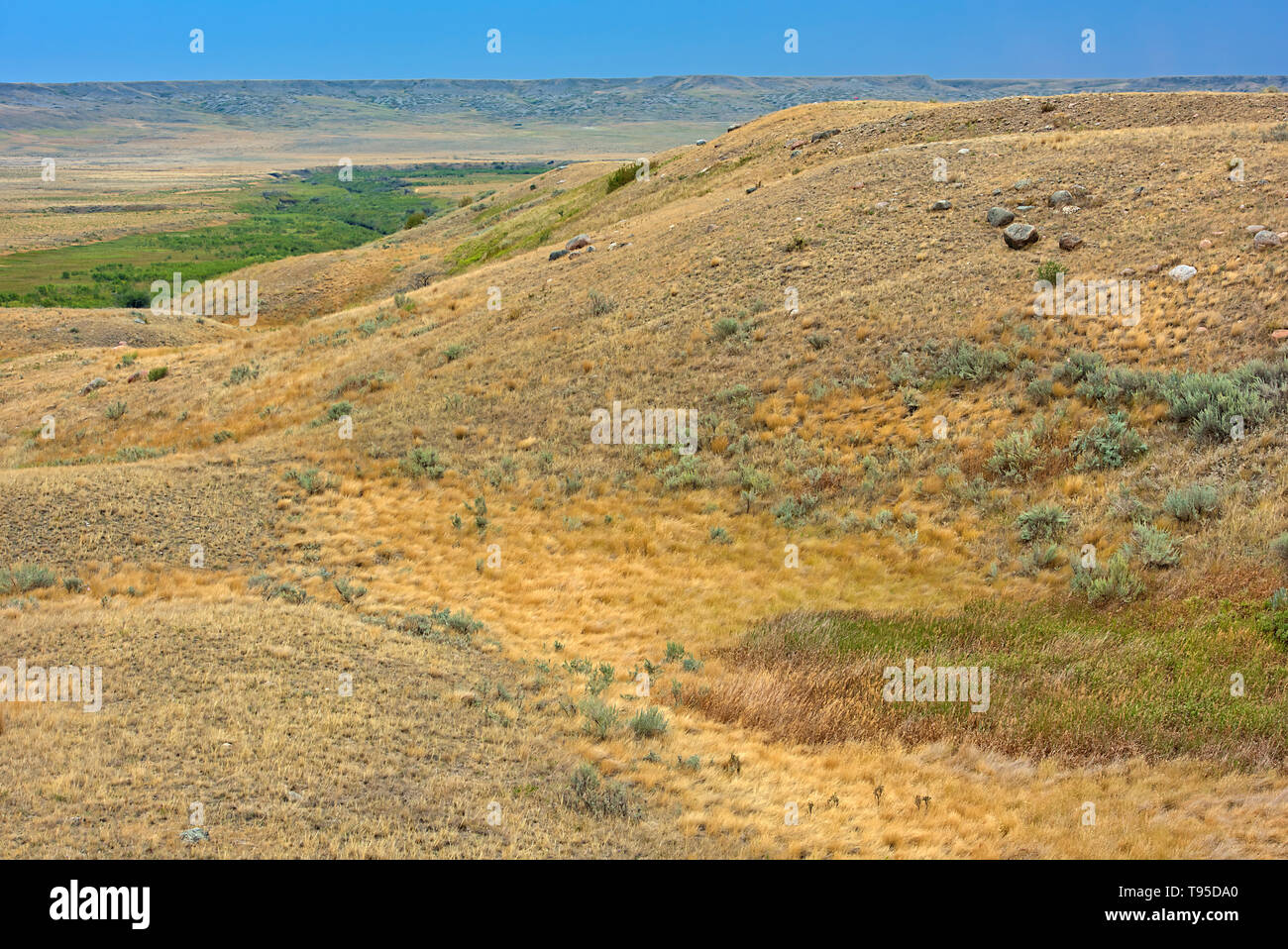 Colline e coulees di mixed-erba nativo praterie prateria Parco Nazionale di Saskatchewan in Canada Foto Stock