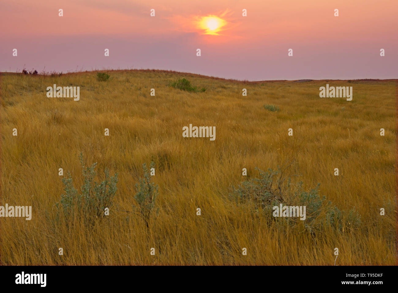 Colline e coulees di mixed-erba prateria nativo al tramonto praterie Parco Nazionale di Saskatchewan in Canada Foto Stock