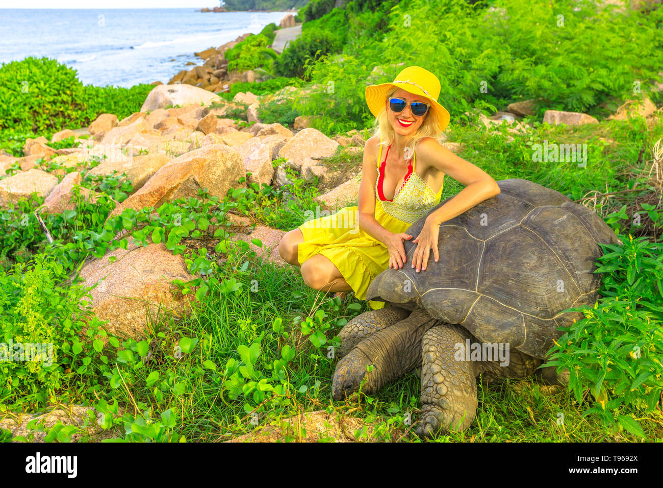 Uno stile di vita elegante tourist donna con cappello tocchi e interagisce con la tartaruga gigante di Aldabra, Aldabrachelys gigantea, in natura con lo sfondo del mare Foto Stock