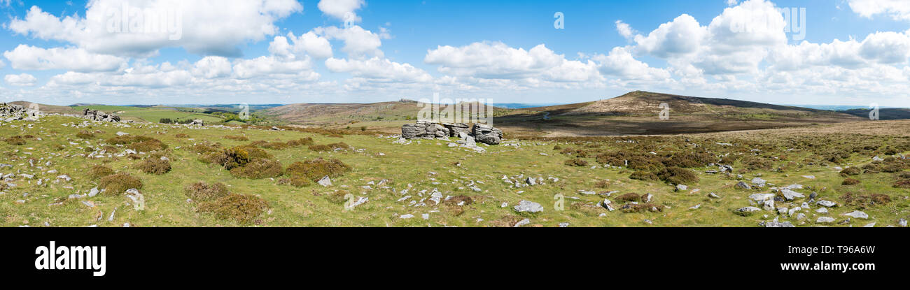 Panorama del granito affioramenti di roccia in alto a Tor, Parco Nazionale di Dartmoor, Devon. Rocce Emsworthy, Sella e Tor Rippon Tor sono in background. Foto Stock