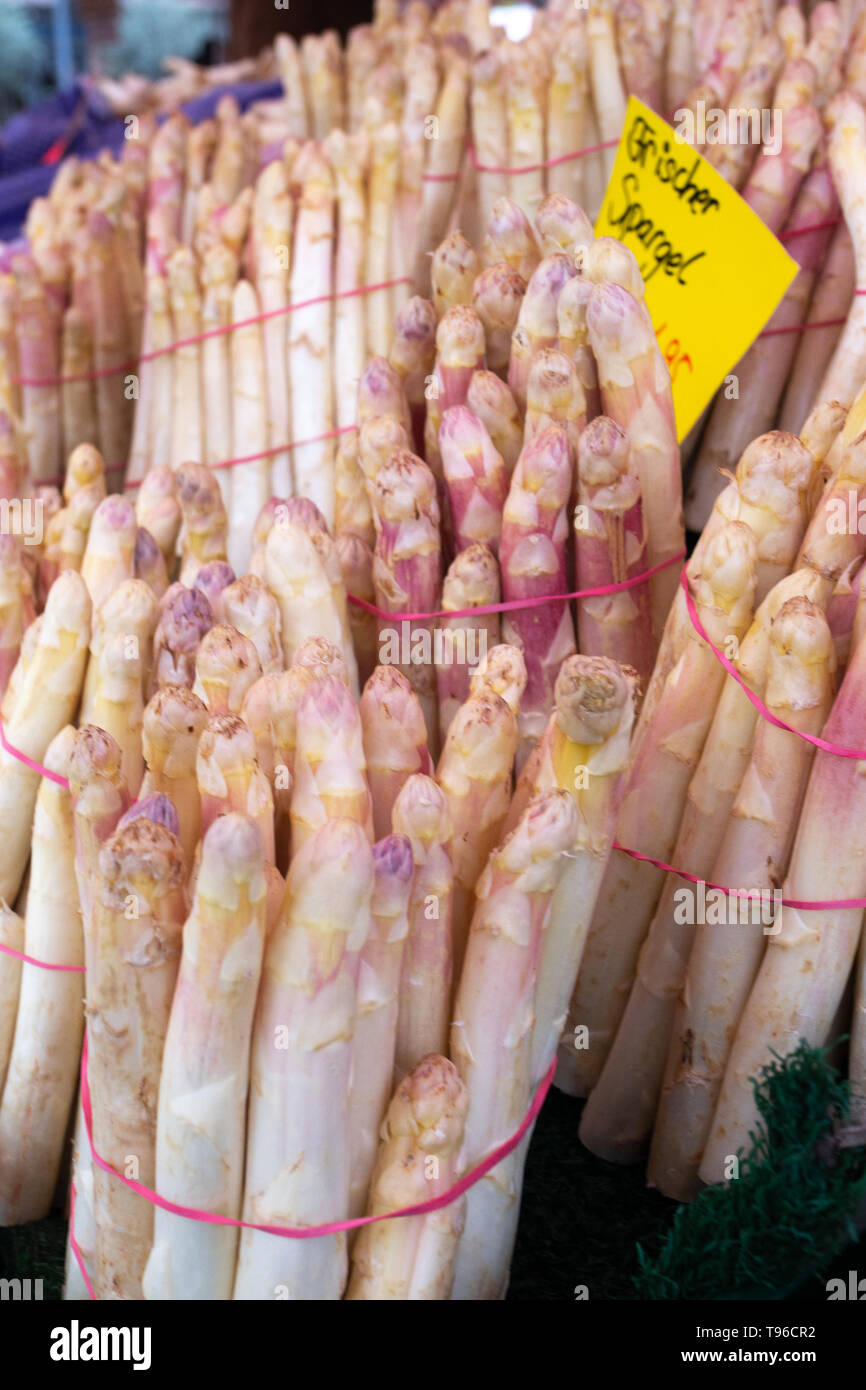 Unches di stagione freschi Asparagi bianchi Foto Stock